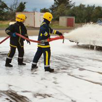 Training Foam